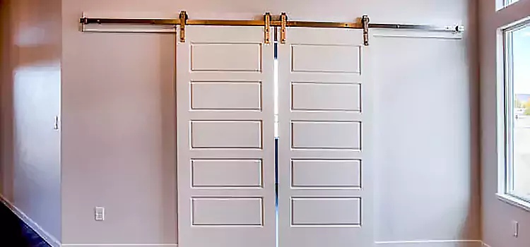 Glass Barn Door with Installation Hardware Kit Arlington Heights