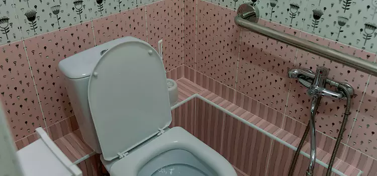 Meeting Diverse Needs With Accessible Restroom Solutions in Arlington Heights, IL
